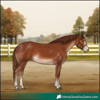 Horse Color:Chestnut  and Chestnut 