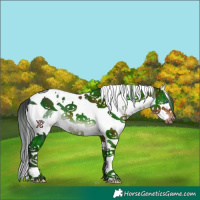 Horse Color:Brown Splash Tobiano 