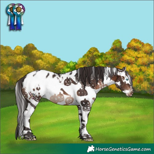 Horse Color:White Spotted Brown Splash Blanket 