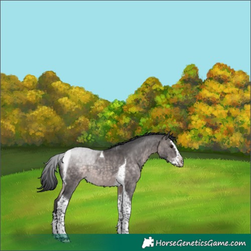 Horse Color:Platinum Brown Dun Splash Tobiano 