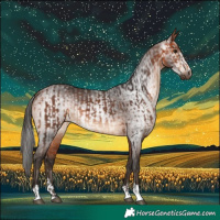 Horse Color:Bay  and Gray Bay 