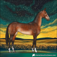 Horse Color:Bay and Gray Bay