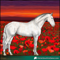 Horse Color:Cremello Sabino  and Cremello Sabino 