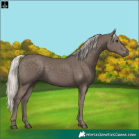Horse Color:Silver Black 