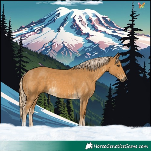 Horse Color:Palomino  and Palomino 