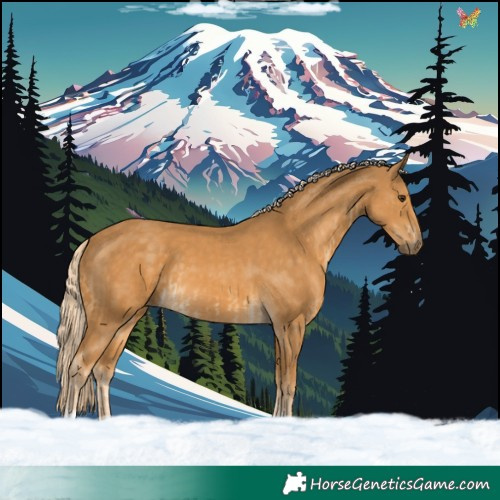 Horse Color:Palomino  and Palomino 