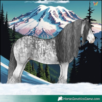 Horse Color:White Spotted Black  and White Spotted Black Splash 