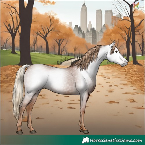 Horse Color:Gray Chestnut 