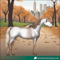 Horse Color:Gray Chestnut