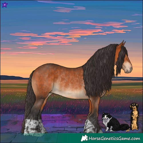 Horse Color:Bay and Bay Rabicano
