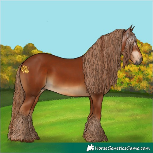 Horse Color:Gray Chestnut  and Gray Chestnut 