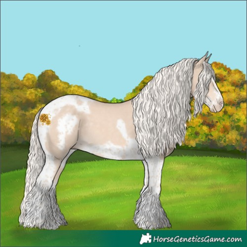 Horse Color:Cremello Tobiano Frame 