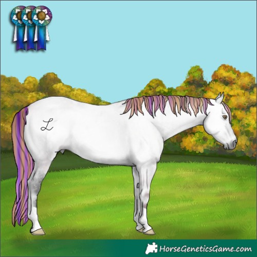 Horse Color:Gray Painted Bay Chinchilla Roan Onyx 