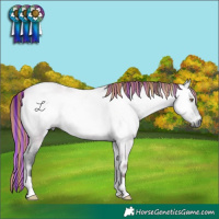 Horse Color:Gray Painted Bay Chinchilla Roan Onyx