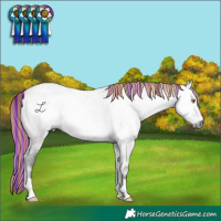 Horse Color:Gray Painted Bay Chinchilla Roan Onyx 