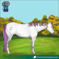 Horse Color:Gray Painted Bay Chinchilla Roan Onyx 