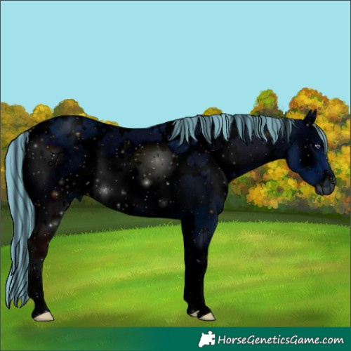 Horse Color:ERROR: UNKNOWN ANOMALY