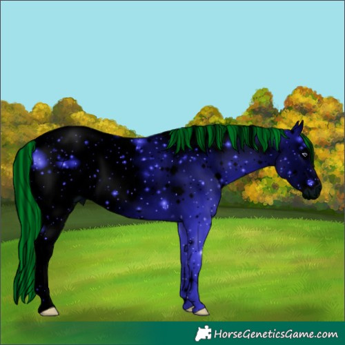 Horse Color:ERROR: UNKNOWN ANOMALY