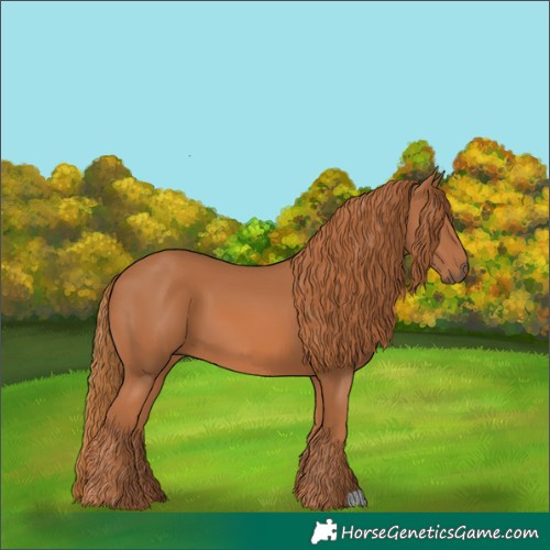 Horse Color:Chestnut 