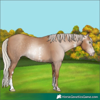 Horse Color:Gray Silver Classic Champagne Sabino 