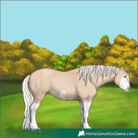 Horse Color:Silver Classic Champagne Dun Splash Frame
