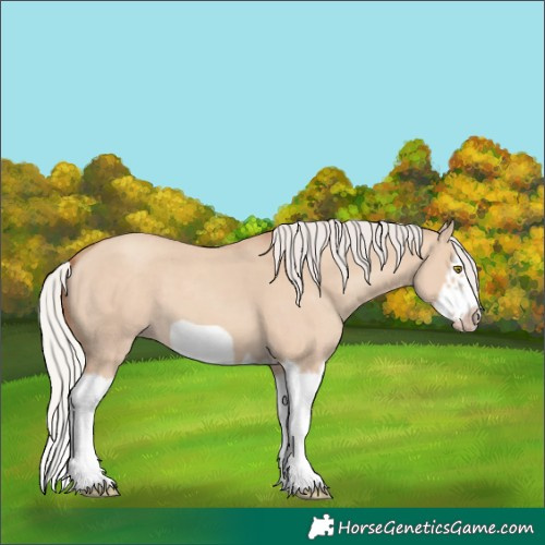 Horse Color:Silver Classic Champagne Dun Splash Frame