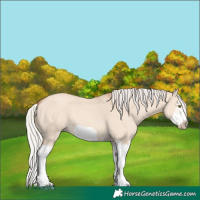 Horse Color:Silver Classic Champagne Dun Splash Frame