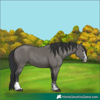 Horse Color:Grullo Sabino Rabicano