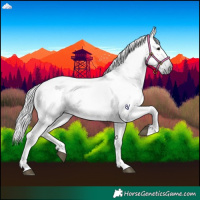 Horse Color:Gray Black 
