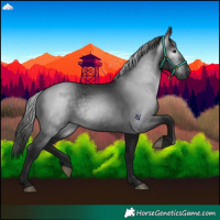 Horse Color:Gray Black 