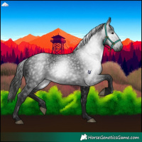 Horse Color:Gray Black 