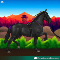 Horse Color:Gray Black 