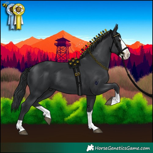 Horse Color:Black Splash 