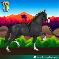 Horse Color:Black Splash