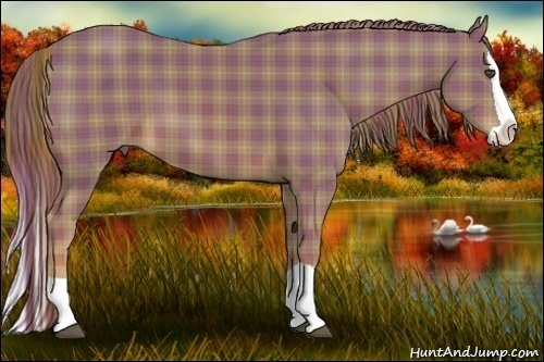 Horse Color:Plaid  Chestnut Splash 