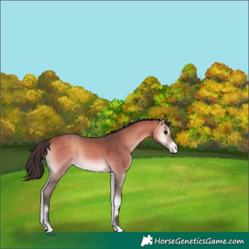 Horse Color:Platinum Bay Onyx Varnish 