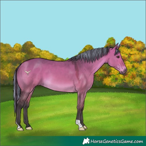 Horse Color:Platinum Painted Bay Dun 