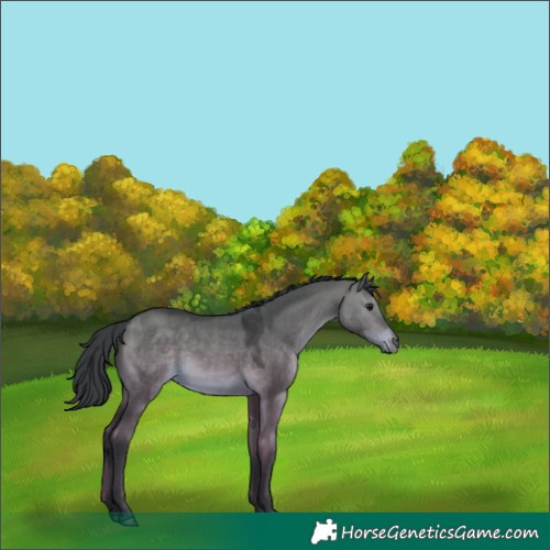 Horse Color:Platinum Bay Dun 