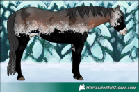 Horse Color:White Spotted Brown Ice 