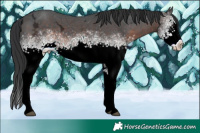 Horse Color:White Spotted Brown Ice 