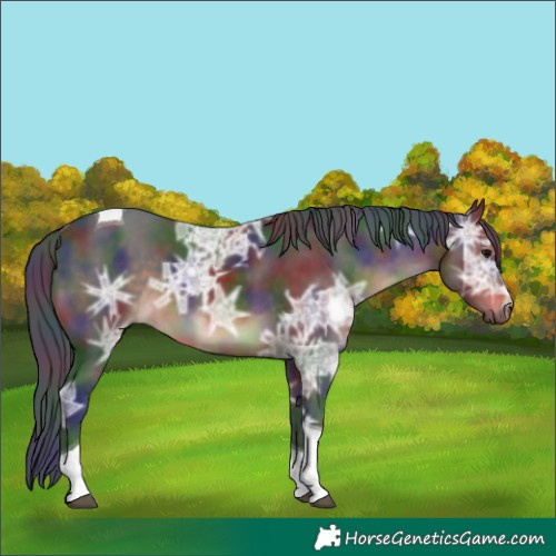 Horse Color:Nacre Brown Ice Tobiano 