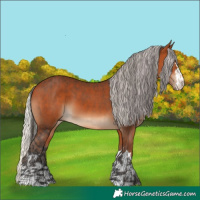 Horse Color:Bay  and Silver Bay 