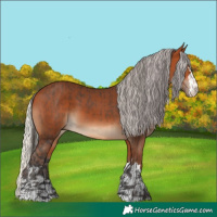 Horse Color:Bay  and Silver Bay 
