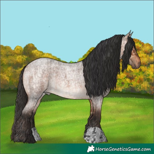 Horse Color:Bay Roan Dun  and Brown Roan 