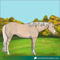 Horse Color:Cremello 
