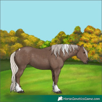 Horse Color:Silver Black Tobiano