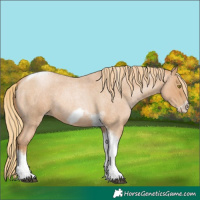 Horse Color:Red Roan Pearl Tobiano Frame