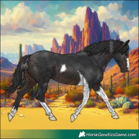 Horse Color:Brown Tobiano
