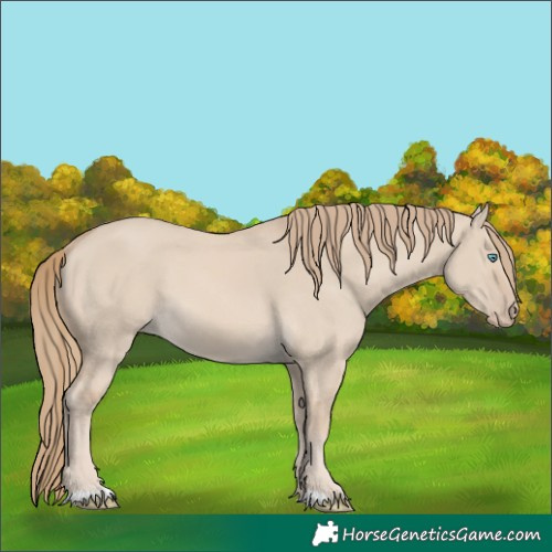 Horse Color:Smoky Creme Dun 