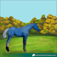 Horse Color:ERROR: UNKNOWN ANOMALY
